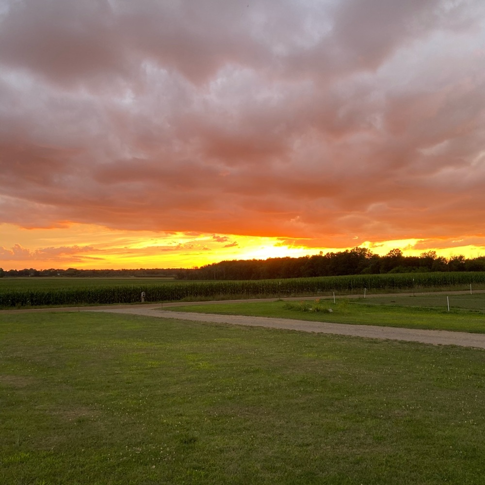 Meet your Posher, Klaire